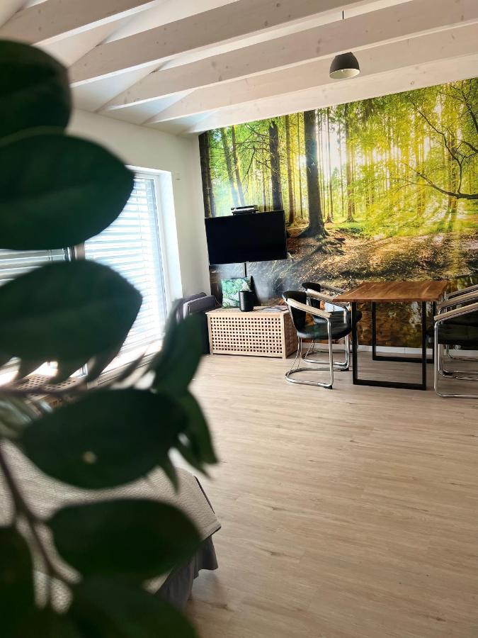 Loft Wohnung Appartement Auf 2 Etagen, Naehe Neckar Neckarwestheim Zewnętrze zdjęcie